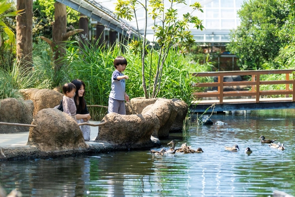 【神戸どうぶつ王国】〜花と動物と人とふれあい共生パーク〜入場券付きプラン！★朝食付き